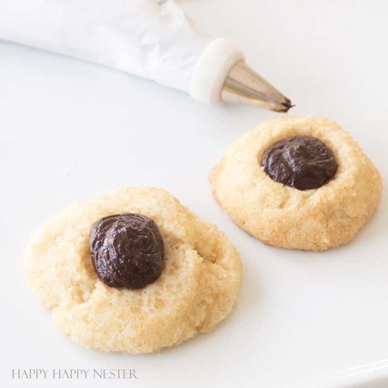 These wonderful Chocolate Thumbprint Cookies are rolled in turbinado sugar for a sweet crunchy outer layer. The chocolate ganache is a perfect pairing to the awesome little cookie. Baking | Cookie Recipe | Recipes | Desserts | Cookie | Chocolate Ganache | Cookies | Homemade Cookies | Best Cookies | Chocolate Cookie