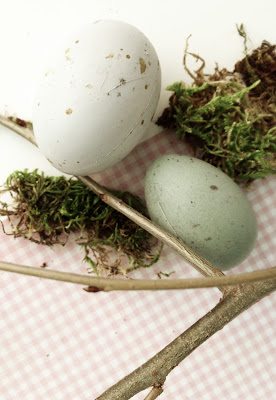 spring moss and eggs