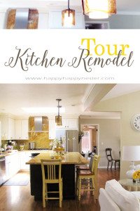 kitchen remodel copy