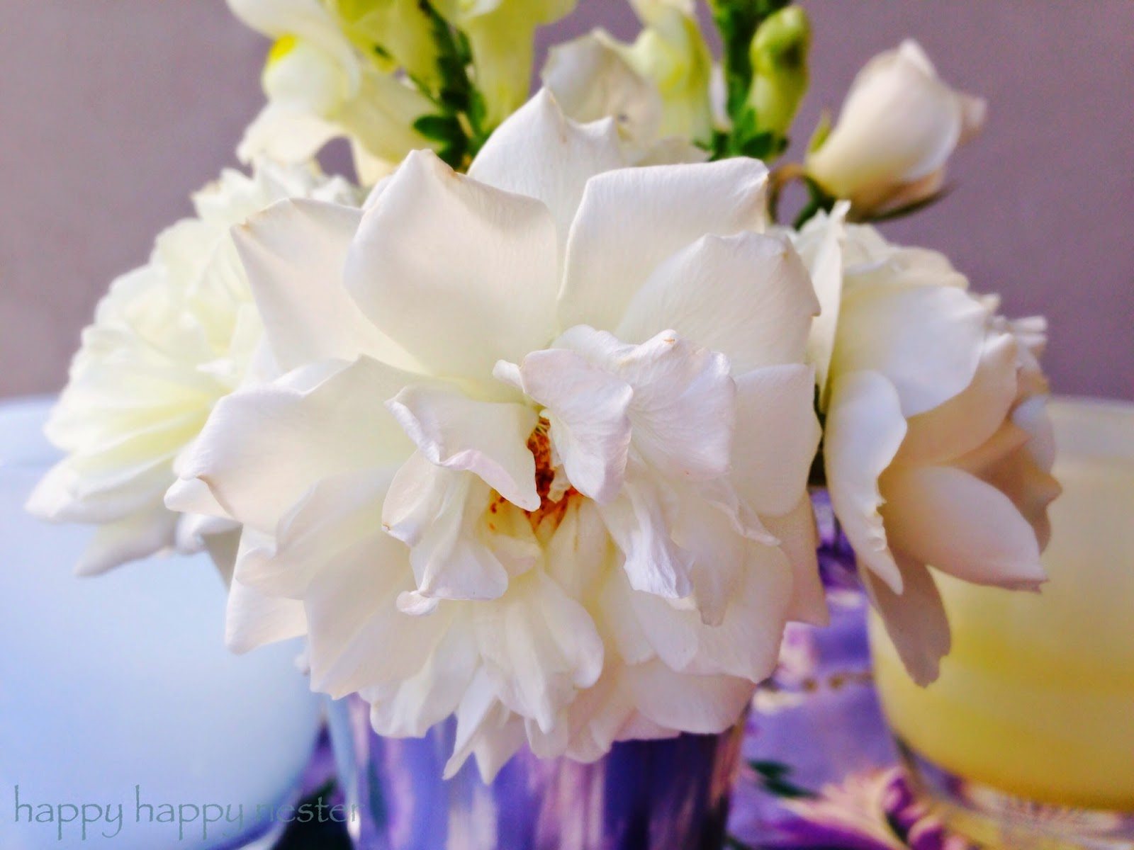 Deer Proofing Your Garden Happy Happy Nester