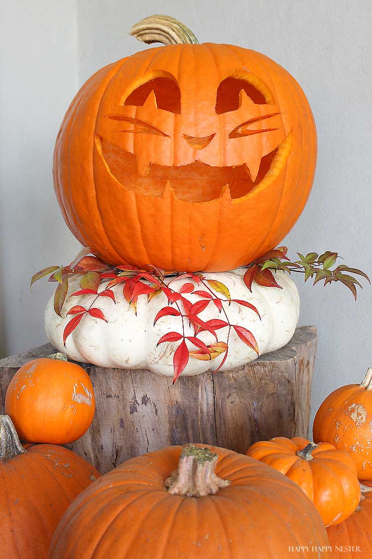 carved pumpkin on a white pumpkin