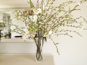 Spring flowers for decorating