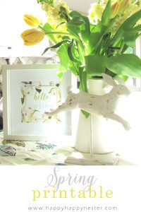 Spring Decorating Ideas. Change out three things in your home decor to get it ready for spring. These are easy steps that anyone apply with great results.