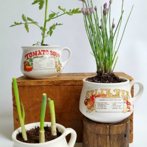 Gift Ideas Sadie_Seasongoods_Vintage_soup_bowl_garden_hostess_gift_plant