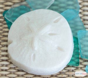 gift ideas how-to-make-soap-sand-dollars-5