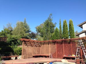 patio before the deck remodel