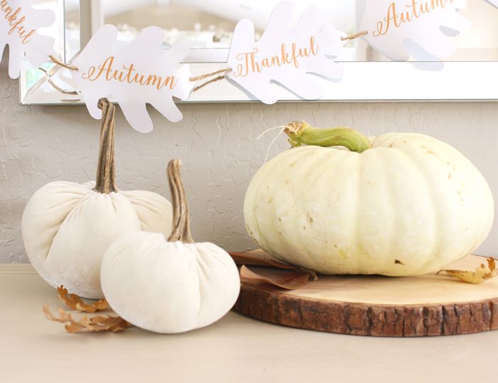 free fall printable pumpkin on table sm ver