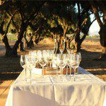 Wente Tour a Fabulous Day in the Vineyards