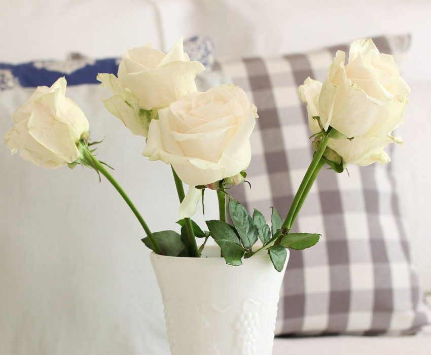 linens-hallstrom-giveaway-roses-smver