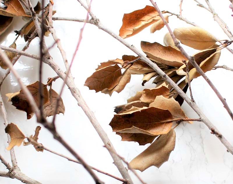 Use real branches to create faux flowers