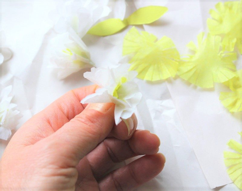 white pear blossoms diy