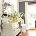 Do You Want a Beautiful Bold Paint Color?