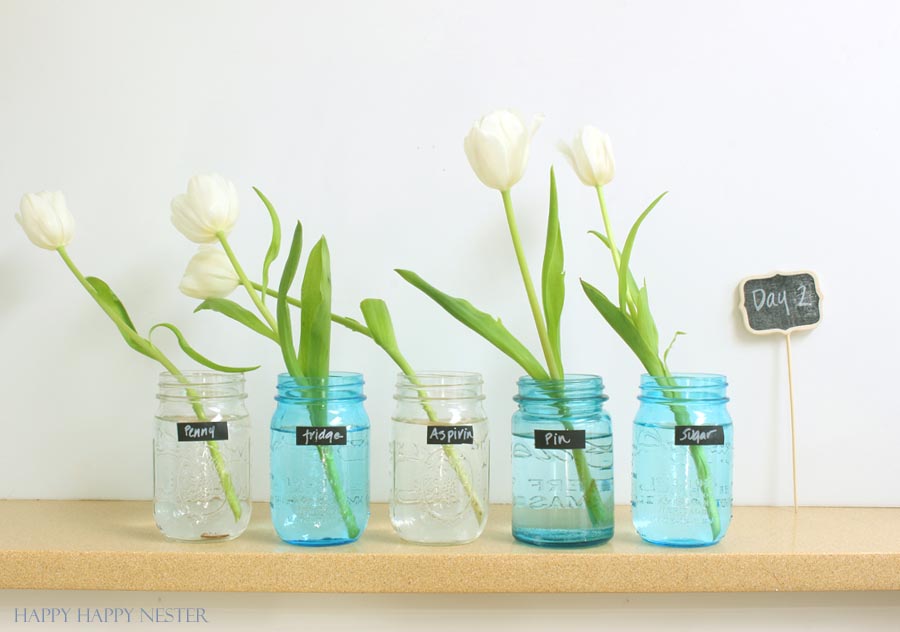 sugar and water for cut flowers