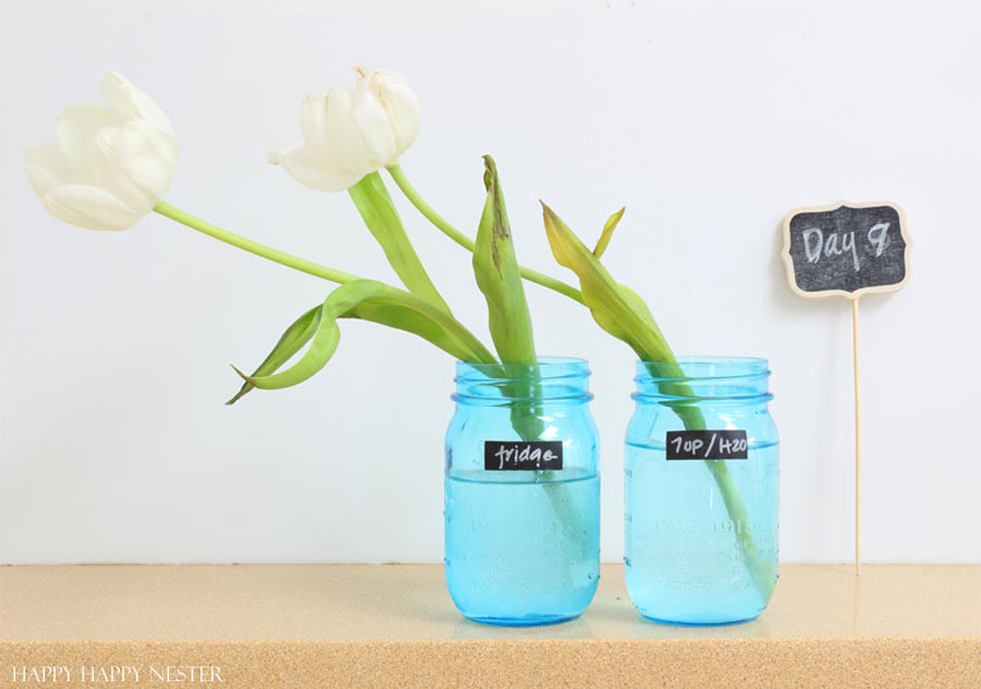 refrigerating cut flowers