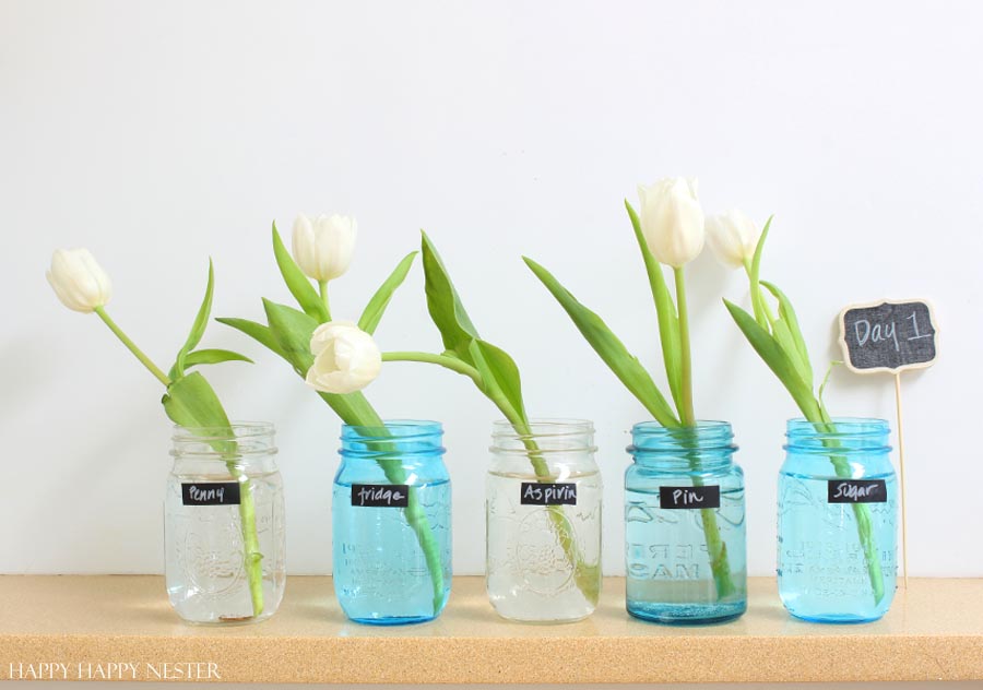 How to Make Cut Flowers Last Longer