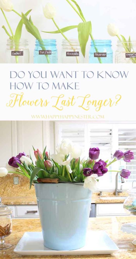 What makes flowers last longer. This is a tried and true week long test of 10 different solutions. The surprising results are something you'll want to try!