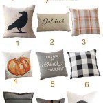 9 Beautiful Fall Pillows Selected Just for You!