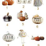 Hunt No More, Here are My 12 Best Pumpkins!