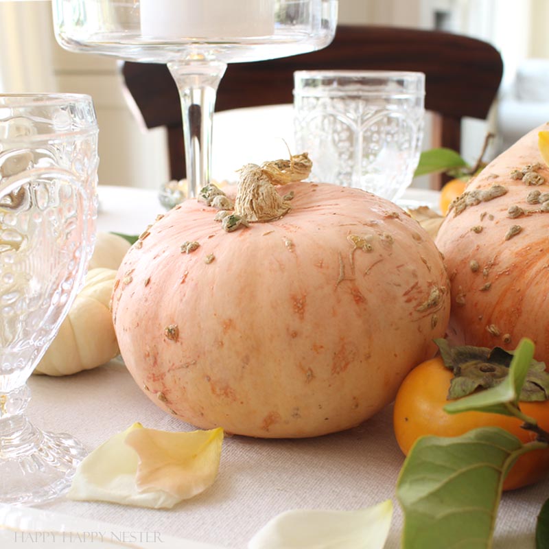 pink pumpkin on white table