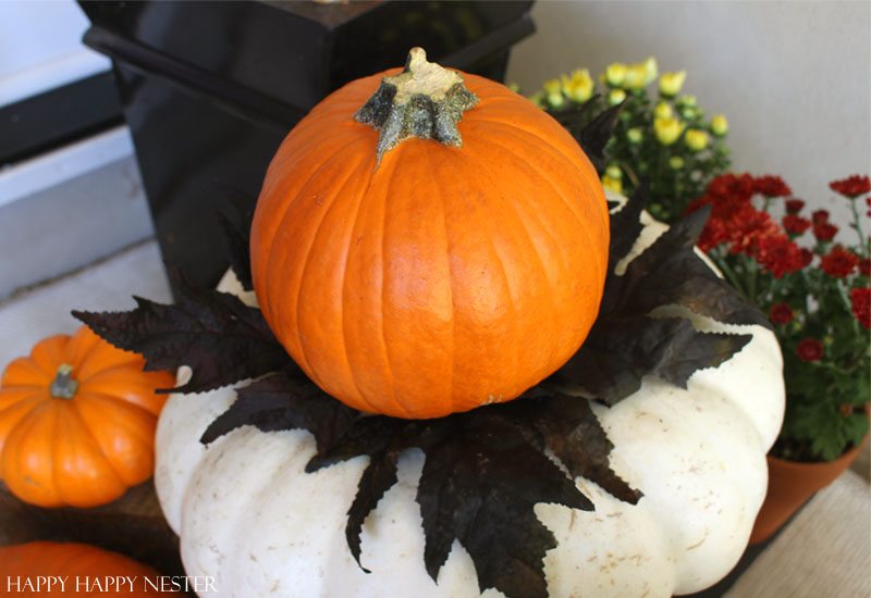 pumpkin decor