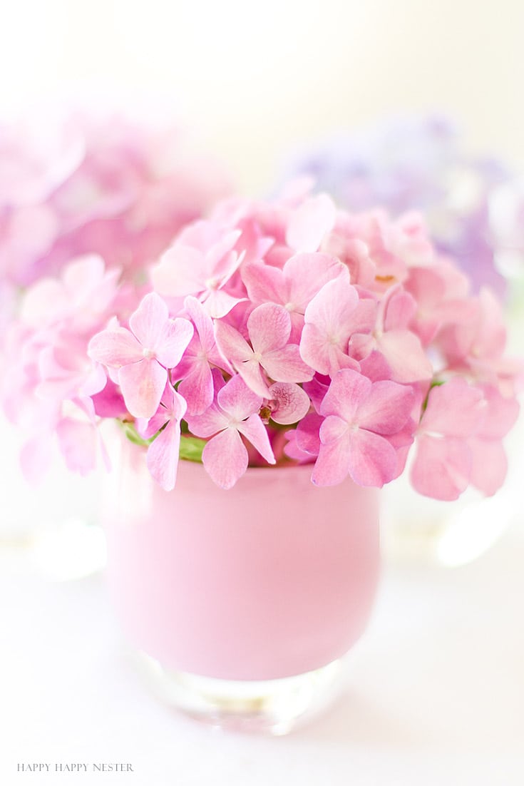 pink hydrangea in pink vase