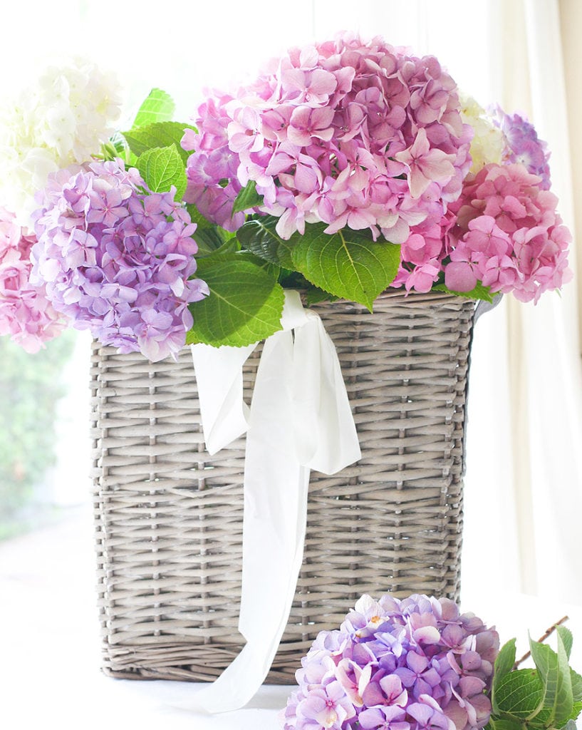 french basket with hydrangeas