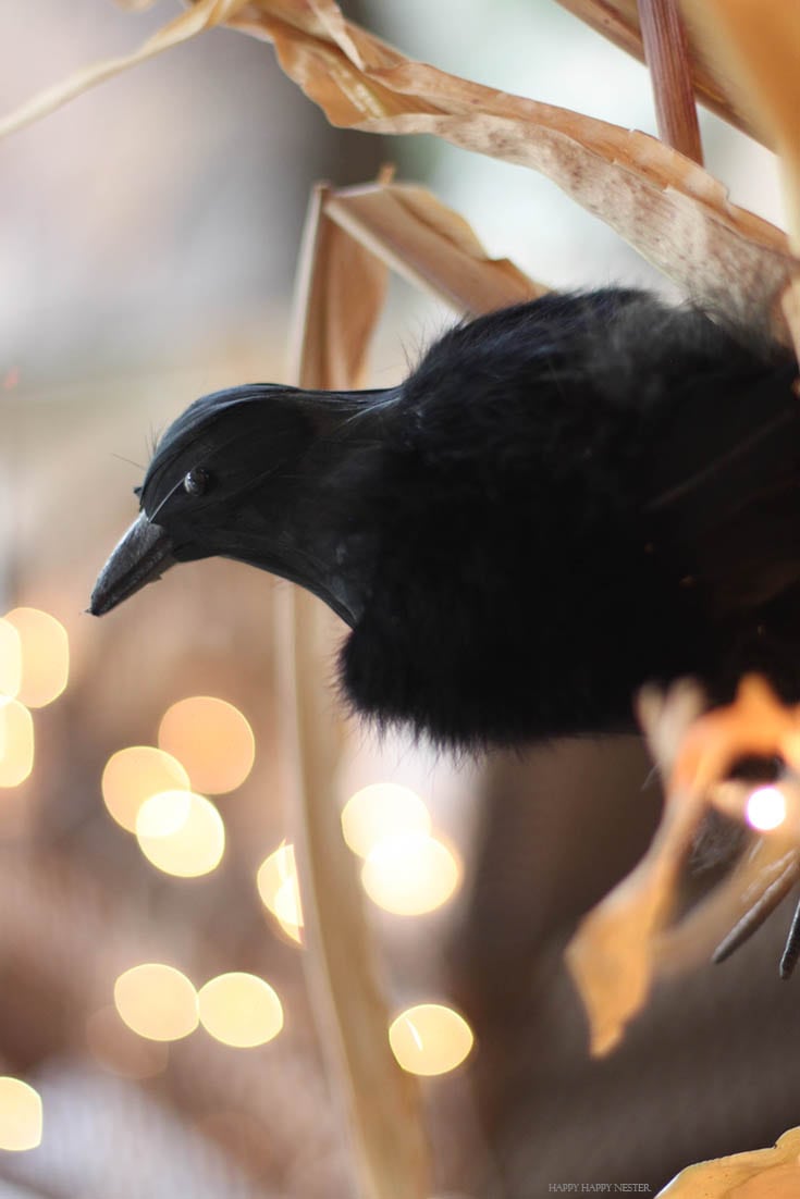 crow on cornstalk with lights in the background.