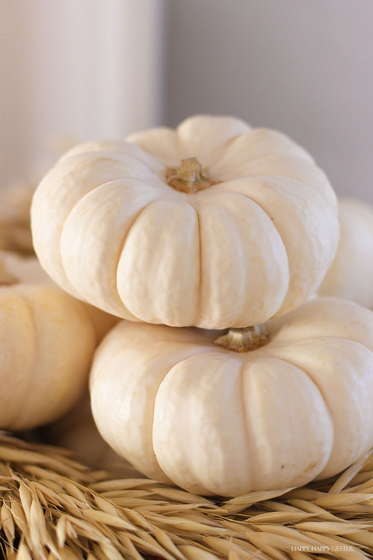 white mini pumpkins