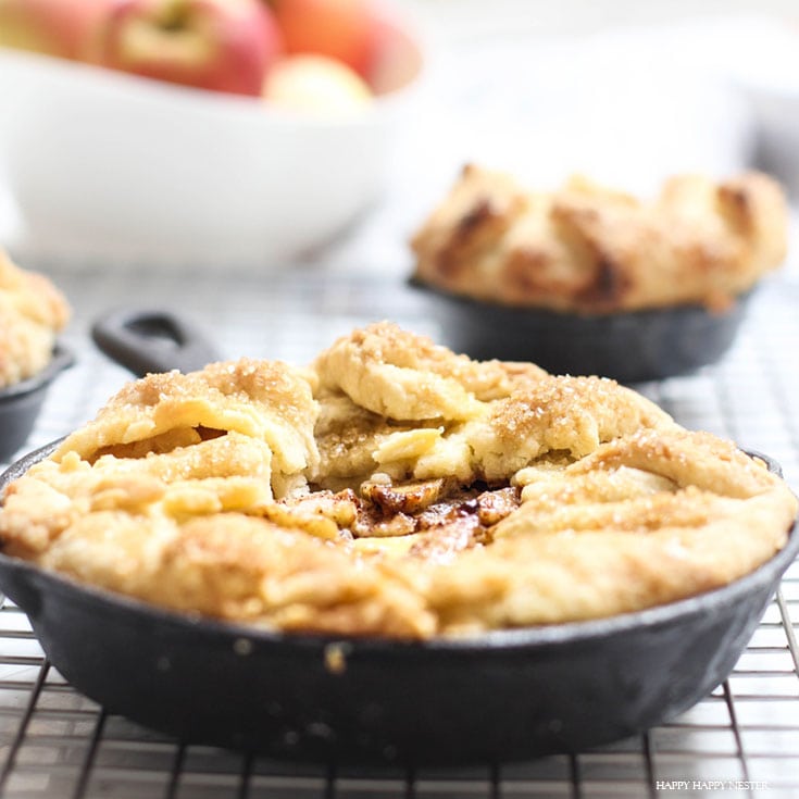 French Apple Custard Tart