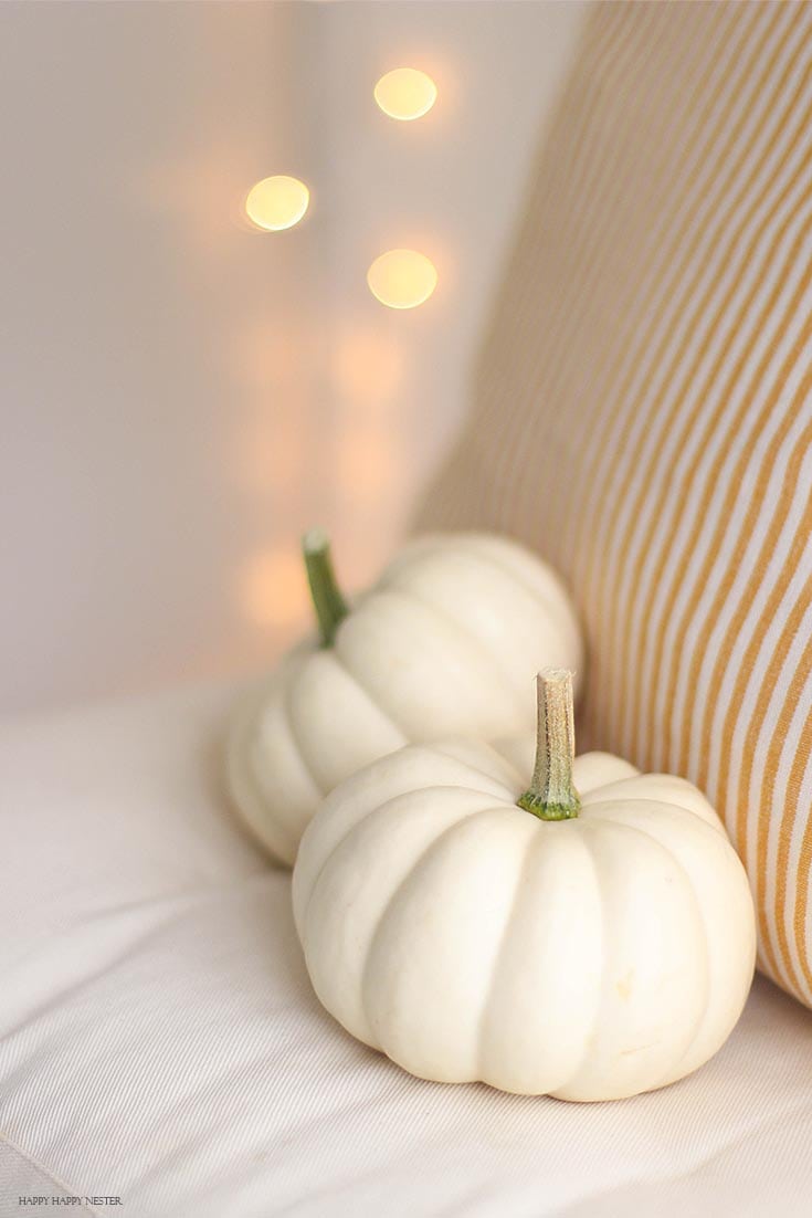 white mini pumpkins on a white cushion