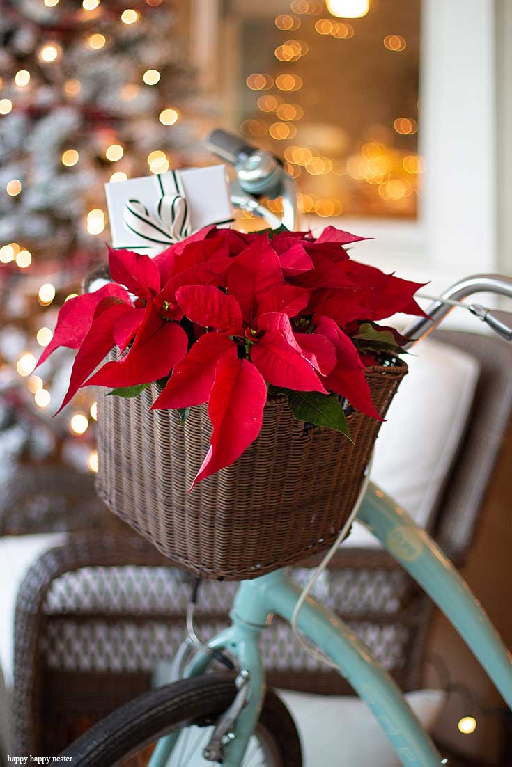 Welcome to an inspiring Christmas Home Night Tour. On the tour are my front porch, living room, and dining room. The tour includes twinkle lights, Christmas trees, holiday cookies, and even a decorated bike. The evening light makes everything sparkle and magical. Christmas Tour | Holidays | Christmas Decor | Christmas