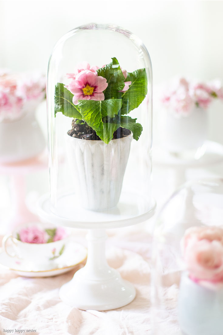 Primroses under glass cloches are super cute. Cake stands are easy ways to decorate a table or your home. I have gathered some Cute Ways to Use a Cake Stand that I'm sure you'll love. You can use them for the holidays or even a wedding reception. They add drama and interest because of their styles and heights. #cakestands #decorating #weddings #flowers #decor