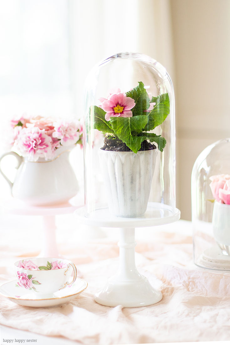 Add fresh spring primrose plants on cake stands. Cake stands are easy ways to decorate a table or your home. I have gathered some Cute Ways to Use a Cake Stand that I'm sure you'll love. You can use them for the holidays or even a wedding reception. They add drama and interest because of their styles and heights. #cakestands #decorating #weddings #flowers #decor