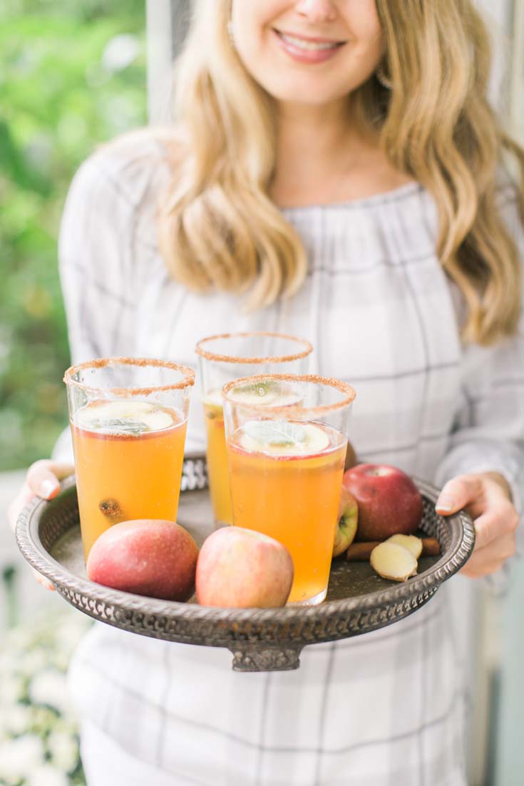 Ginger Apple Spritzer. Here are 10 Non-Alcohol Summer Drinks that you'll love. Need some recipes this summer, well, we have you covered if you need slushies, teas, fruit drinks and more. These bloggers have tested them, and these are their favorites. #drinks #summerdrinks #cocktail #drinkrecipes #recipes #happyhour #weddings #weddingdrinks