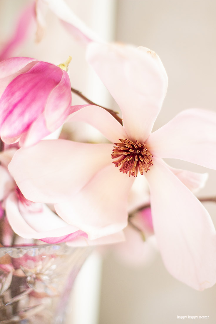 For a pretty Spring look add fresh flowers. The best way to say goodbye to winter is a Pretty Pink Spring Home Tour. I love how happy the color pink is, and it is so pretty in our living room, entry and dining room. Adding fresh flowers brightens a home and welcomes family and friends with a warm embrace. #decorating #springdecor #springtour #pinkdecor #hometour