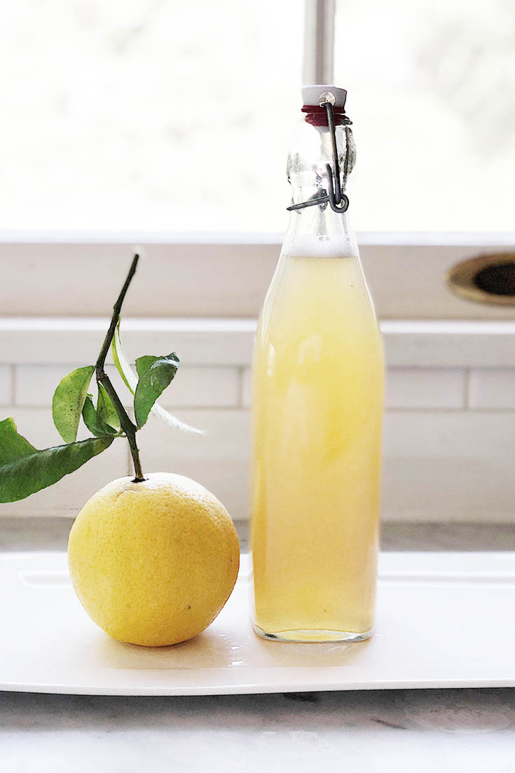 Summer Sips with Meyer Lemons. Here are 10 Non-Alcohol Summer Drinks that you'll love. Need some recipes this summer, well, we have you covered if you need slushies, teas, fruit drinks and more. These bloggers have tested them, and these are their favorites. #drinks #summerdrinks #cocktail #drinkrecipes #recipes #happyhour #weddings #weddingdrinks