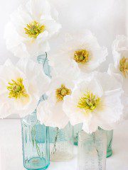 how to make paper poppies