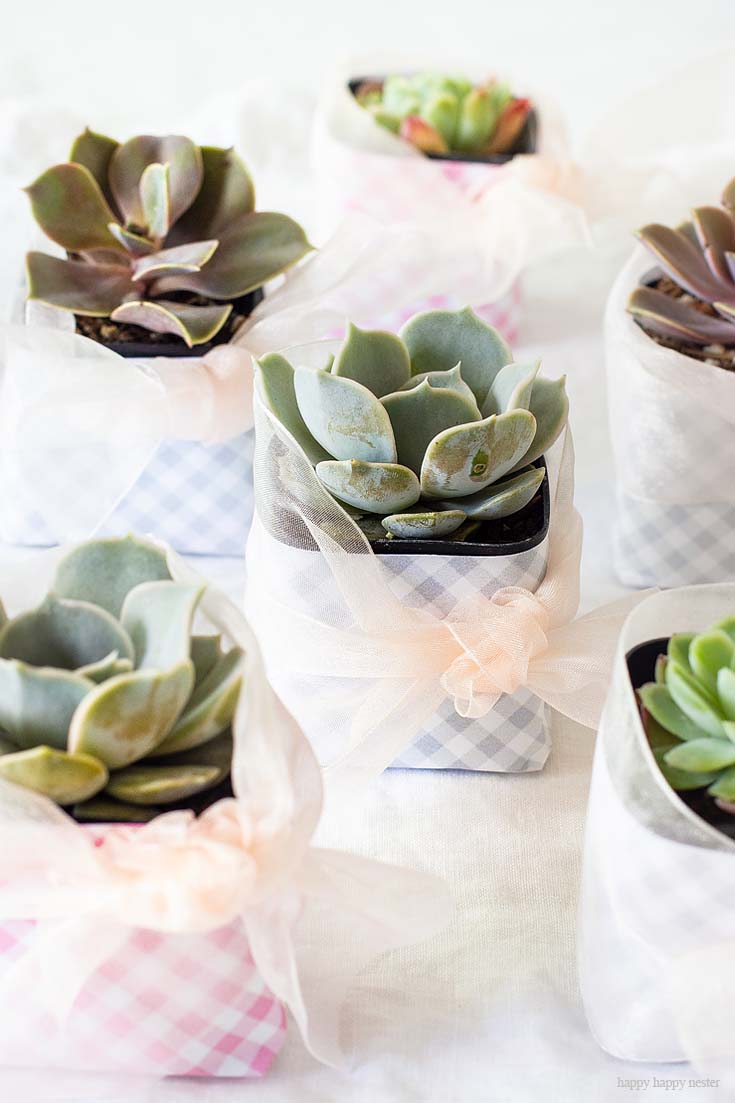 This cute DIY Succulent Wedding Favors project is so adorable and easy peasy. These decorated succulents make great wedding or a hostess gift this is the perfect project for you. #wedding #weddingfavors #crafts #papercrafts #scrapbooking #weddingreceptions #succulents 