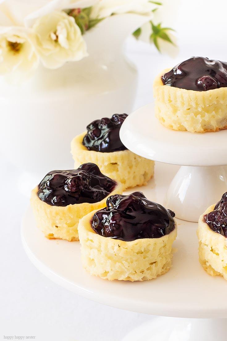 Mini Berry Cheesecakes