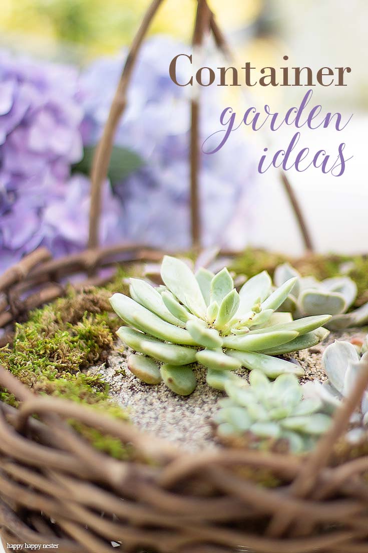 Check out my Container Gardening Ideas for your summer planning. It's not too late to get your flower pots started for summer. This post is a great source of garden containers and what to plant for summer sun and shade. Six bloggers collaborated on this blog roundup. #gardening #flowers #garden