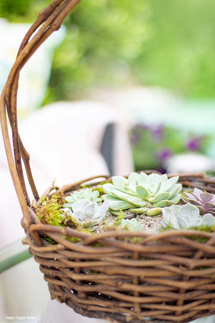 Check out my Container Gardening Ideas for your summer planning. It's not too late to get your flower pots started for summer. I have shade planter, succulents, deer resistant ideas. #gardening #flowers #garden