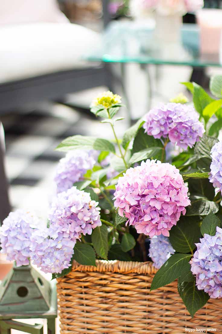 Check out my Container Gardening Ideas for your summer planning. It's not too late to get your flower pots started for summer. Place plants and flowers in unusual containers like these hydrangeas in a rattan basket.#gardening #flowers #garden