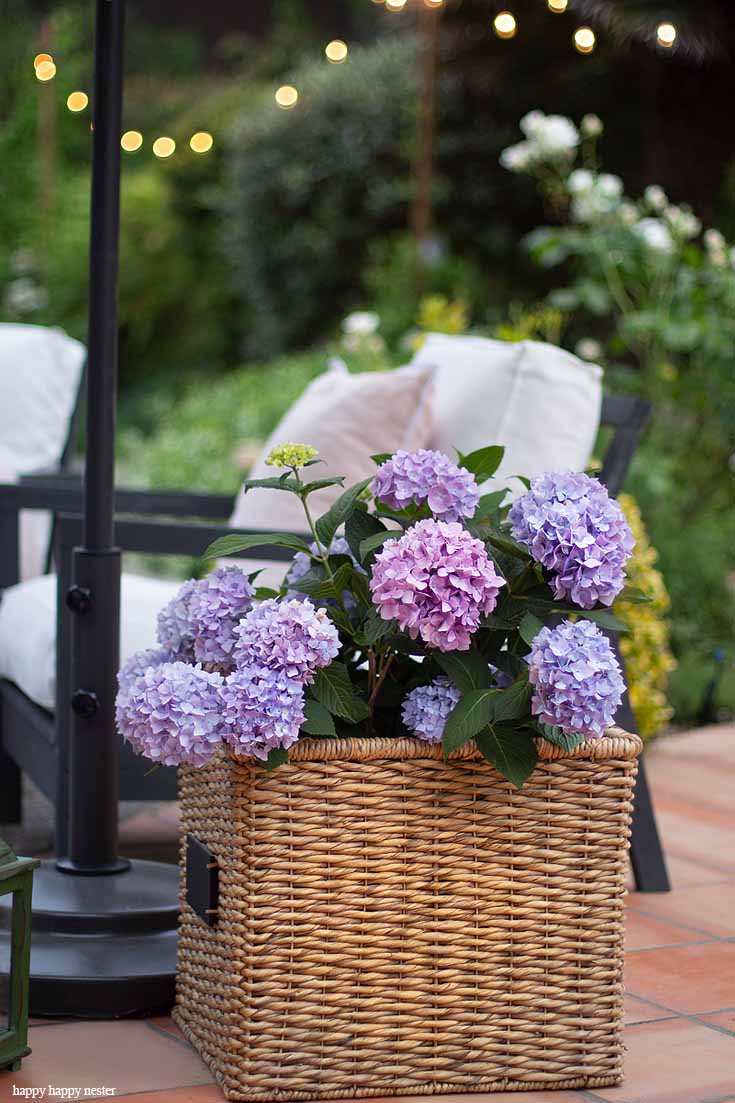 Enjoy summer flowers in pots and baskets this summer and Learn How to Create a Cozy Outdoor Living Space in 9 easy tips. This DIY to summer decorating is essential. #summerdecor #outdoorlivingspaces #entertaining