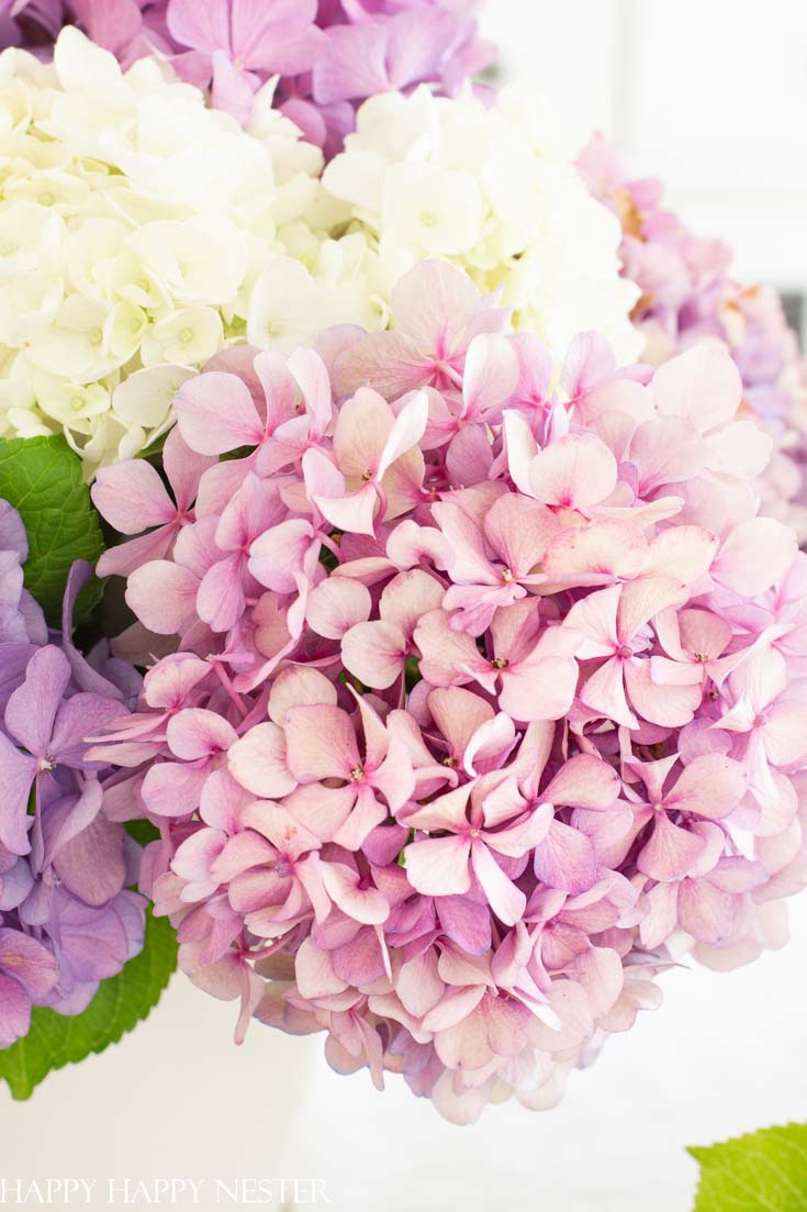 This 5 Minute Summer Centerpiece is so simple and quick and if you use the hydrangeas from your garden and this floral bouquet will costs pennies to create. #hydrangeas #floraldesigns #quickflowerarrangements #weddings