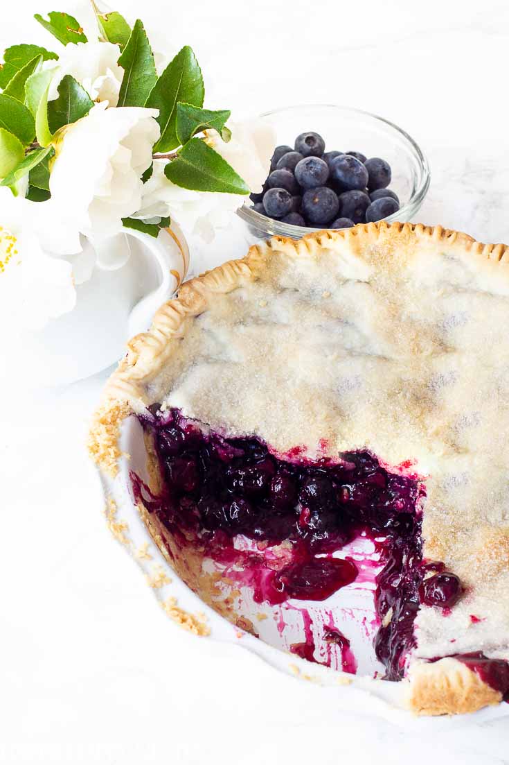 The Best Blueberry Pie Recipe - Happy Happy Nester