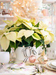 Table Ideas For Christmas Decorating