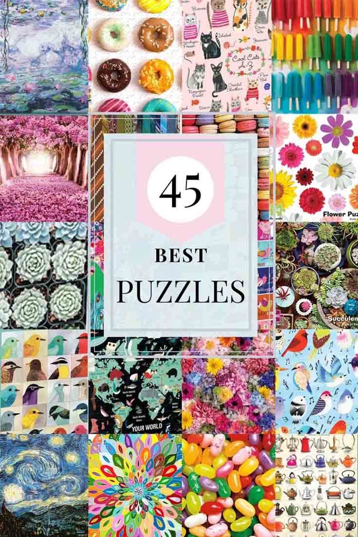 45 Best Puzzles for Adults pin
