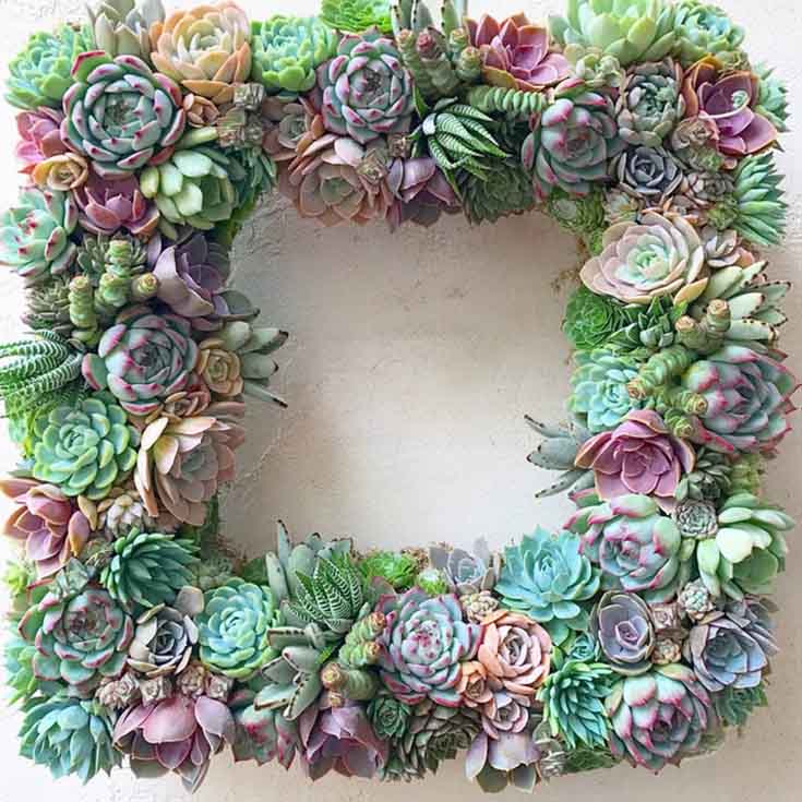 great succulent decor wreath