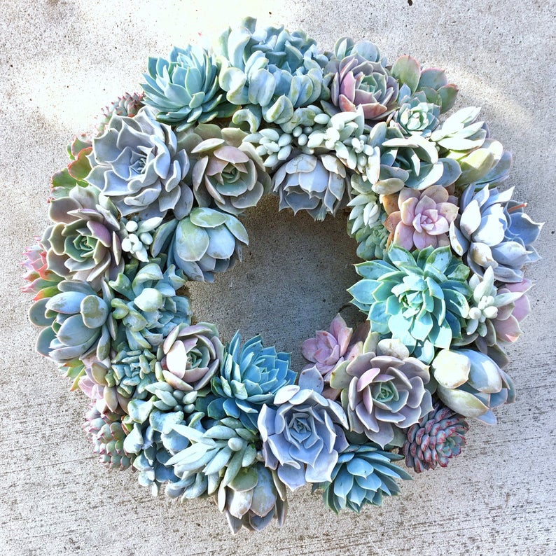 succulent decor wreaths