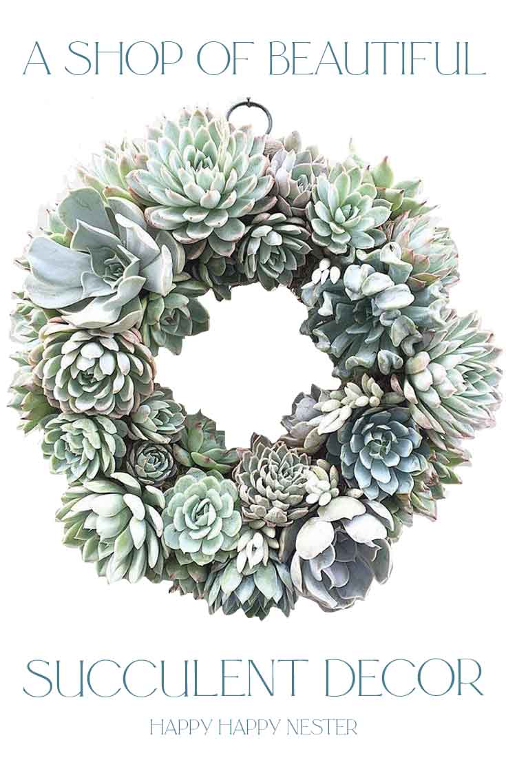 great shop for succulent decor pin